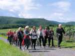 Nordic Walking Tour in den Weinbergen der Ahr