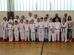 Taekwondo Kup-Prüfung beim VFG Meckenheim