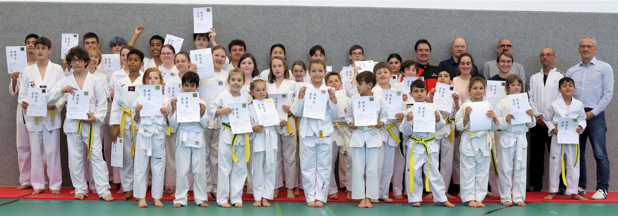 Taekwondo